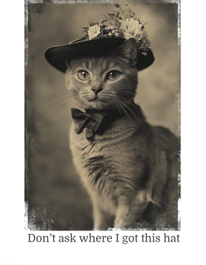 d39b397213745f8b8101811251af9321