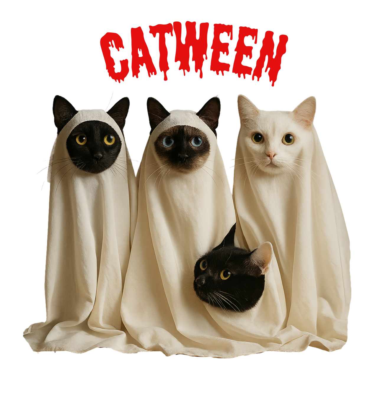 d11ee20b15530a475495e6671dcee6f2