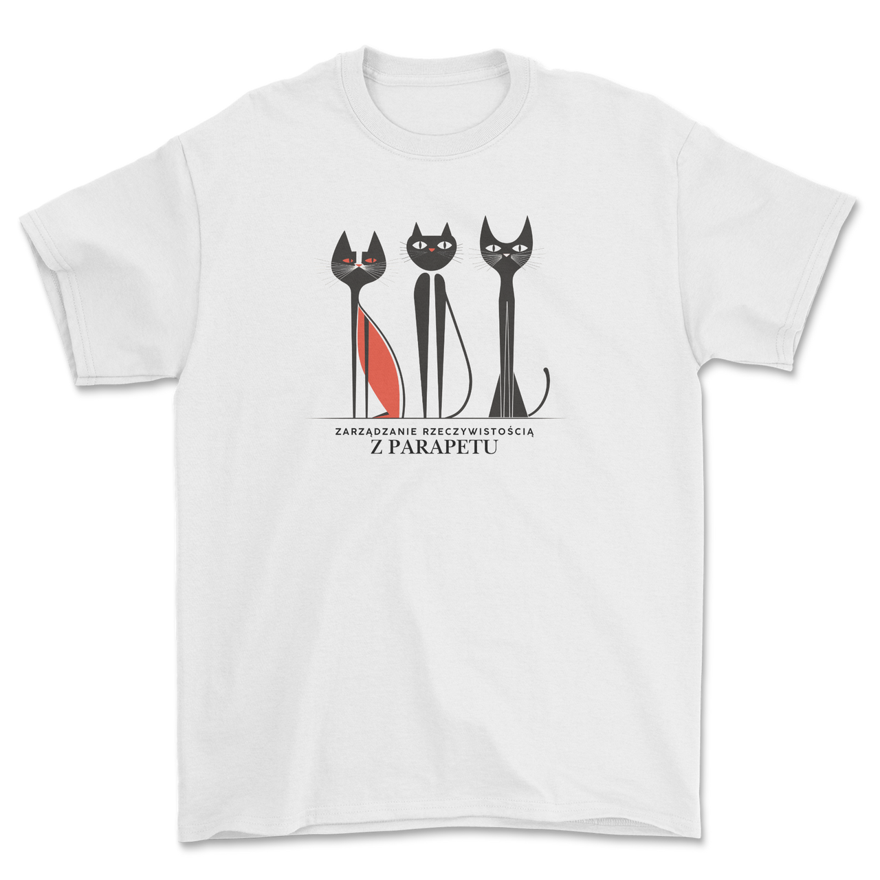 ZARZĄDZANIE RZECZYWISTOŚCIĄ Z PARAPETU